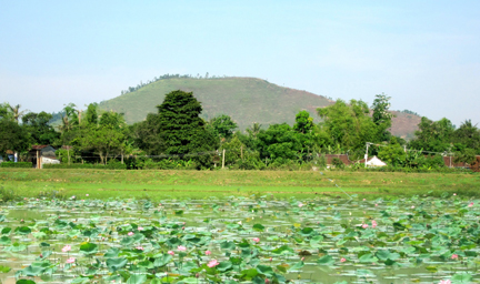 Đến xứ Quảng ngắm cảnh sắc n&ecirc;n thơ